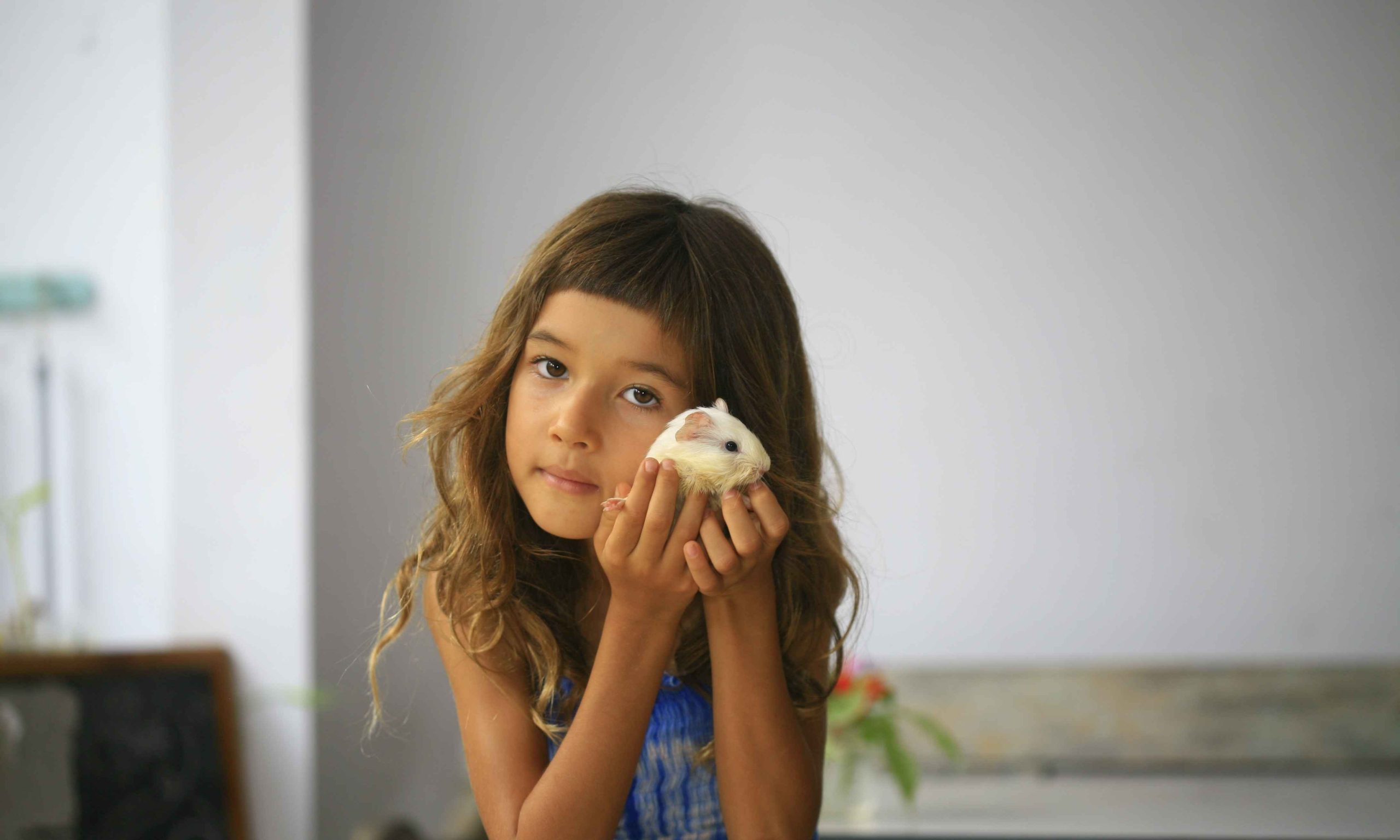 Guinea Pig Project