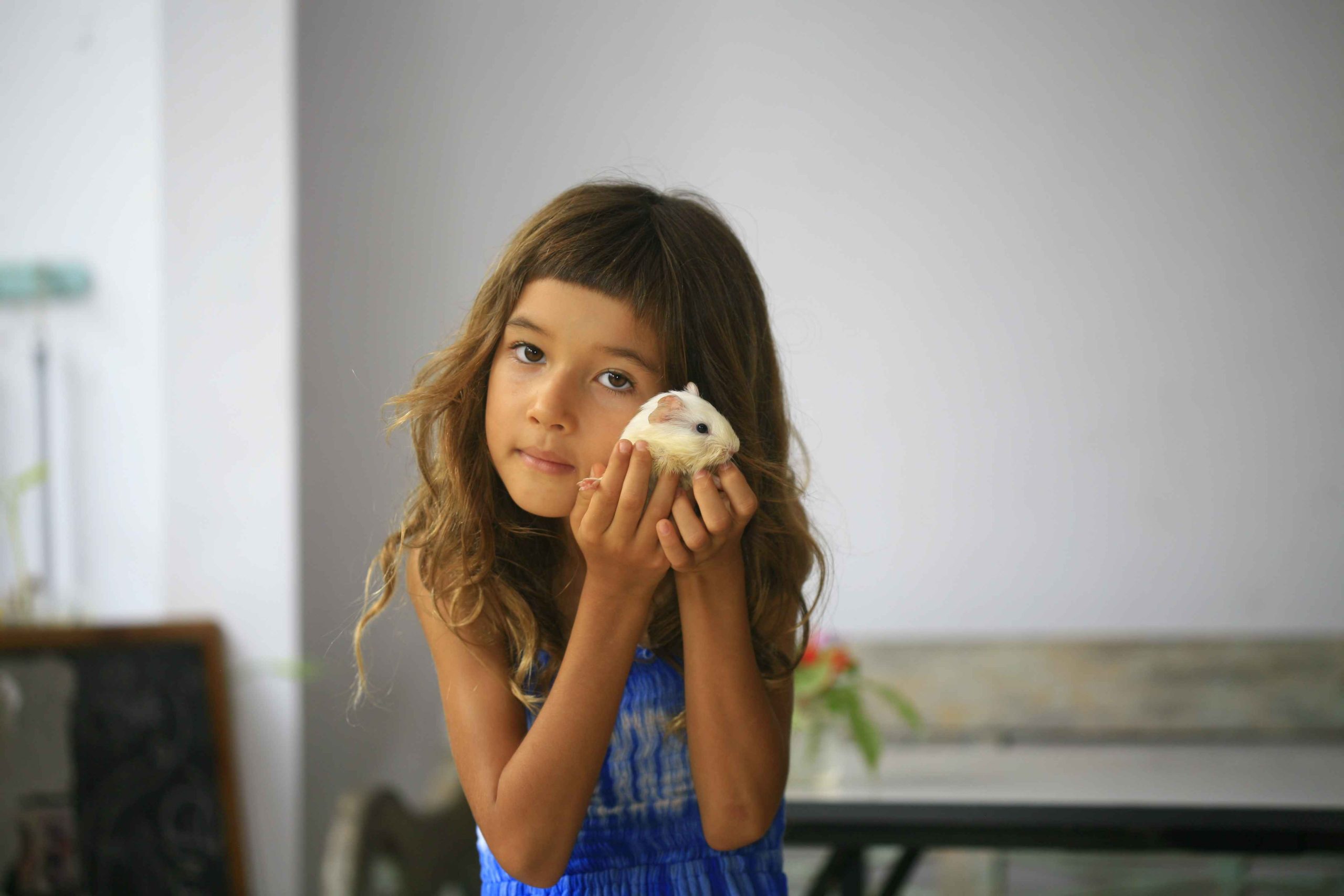 Guinea Pig Project