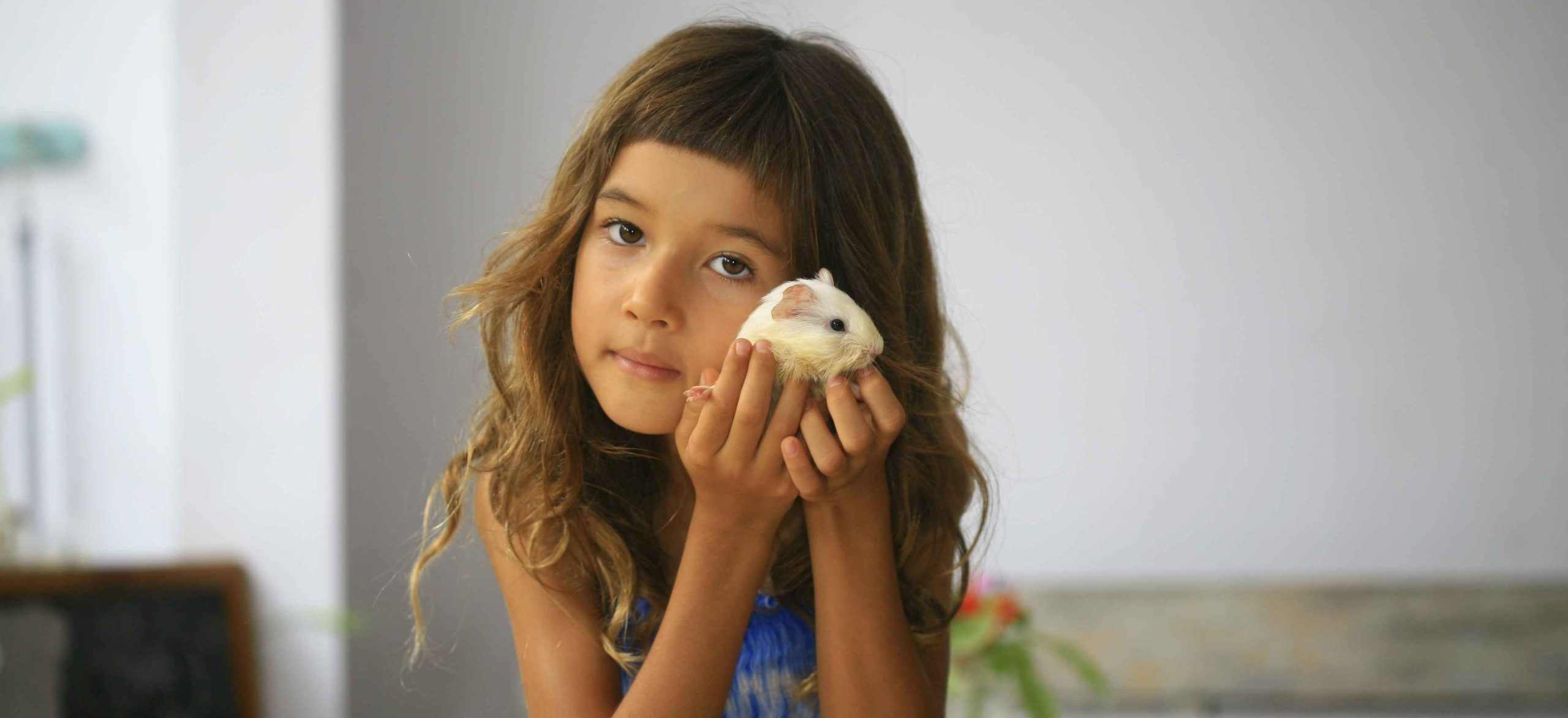 Guinea Pig Project